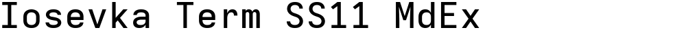 Iosevka Term SS11 MdEx